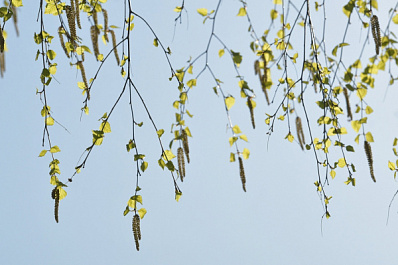 Реализацию нацпроекта "Экология" обсудили на совещании в Правительстве Самарской области