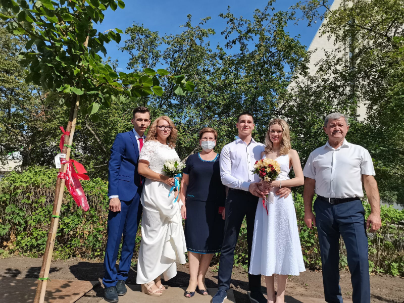 Тольяттинские молодожены высадили аллею лип