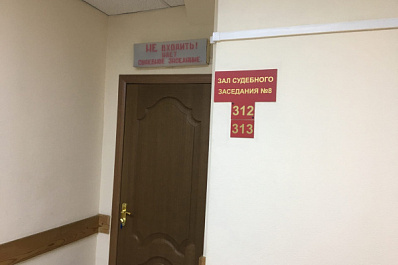 Женщину из Отрадного обвинили в создании крупного преступного сообщества