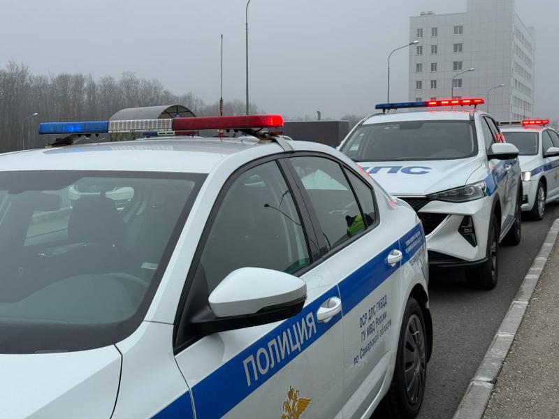 В Самарской области с 1 по 4 ноября патрули ДПС будут дежурить у парков и ТЦ
