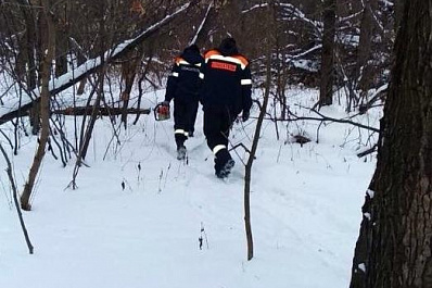 Спасатели достали тело 15-летнего подростка из леса в Самарской области