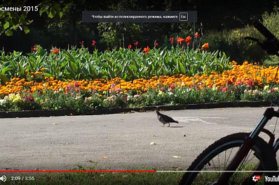 Жители «козловского дома» на проспекте Ленина через «Твиттер» добиваются установки ёлки в сквере Фадеева