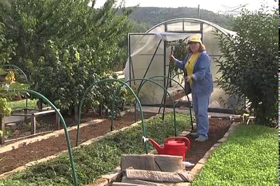 Дачные советы 3.09.2015 