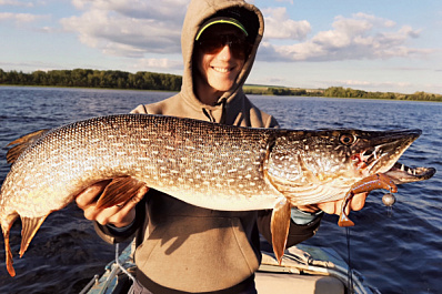 "Её зубы - настоящие клыки": самарский рыбак поймал на Волге огромную щуку