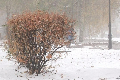 В первые дни ноября в Самару придут холода