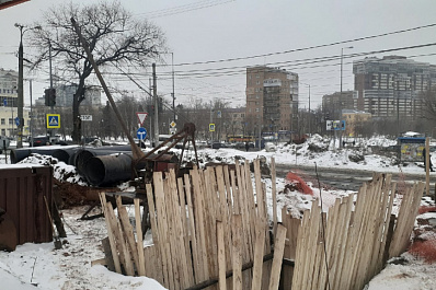 В Самаре на месте спиленных деревьев на Ново-Садовой появятся газоны и парковые зоны