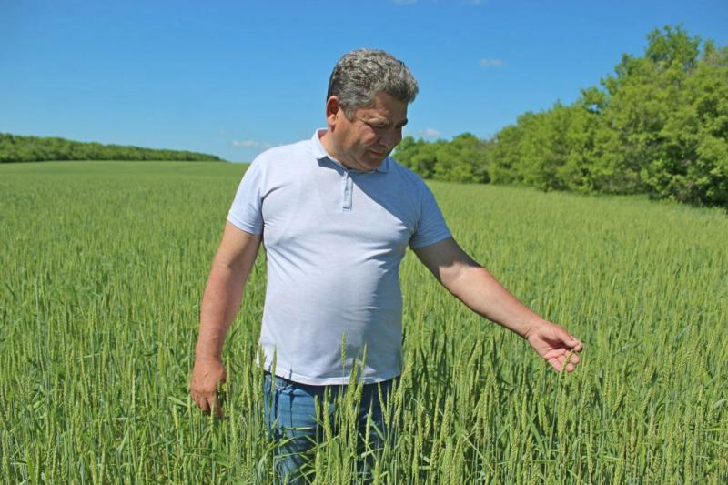 Крестьянская смекалка: как аграрии из Похвистневского района развивают хозяйство