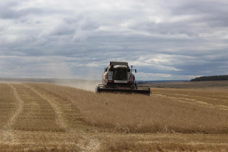 Задача со "Звездой": как аграрии Исаклинского района закончили агросезон