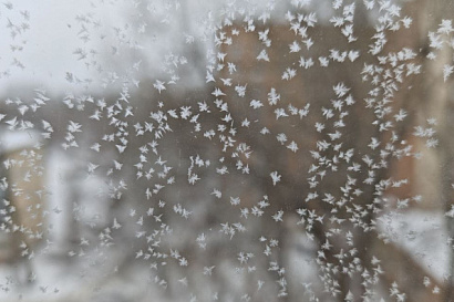 Название статьи