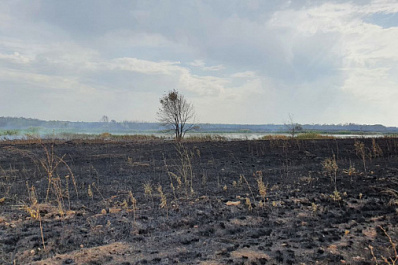 Чрезвычайная пожарная опасность в Самарской области сохраняется