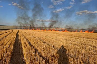 В Самарской области сгорело 800 "квадратов" поля