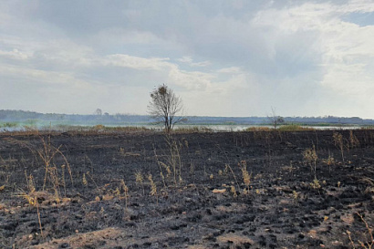 Название статьи