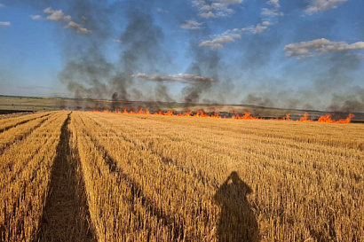 Название статьи