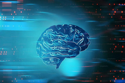 На экономическом форуме в Санкт-Петербурге представили пилотную версию нейросети "Жириновский"