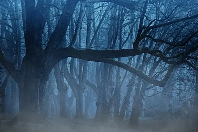 В Самарской области у кладбища нашли тело жителя Димитровграда