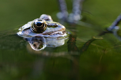 Погода на 1 августа 2025 года: народные приметы и прогноз синоптиков