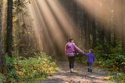 С 1 октября в регионах России для многодетных семей введут цифровые удостоверения