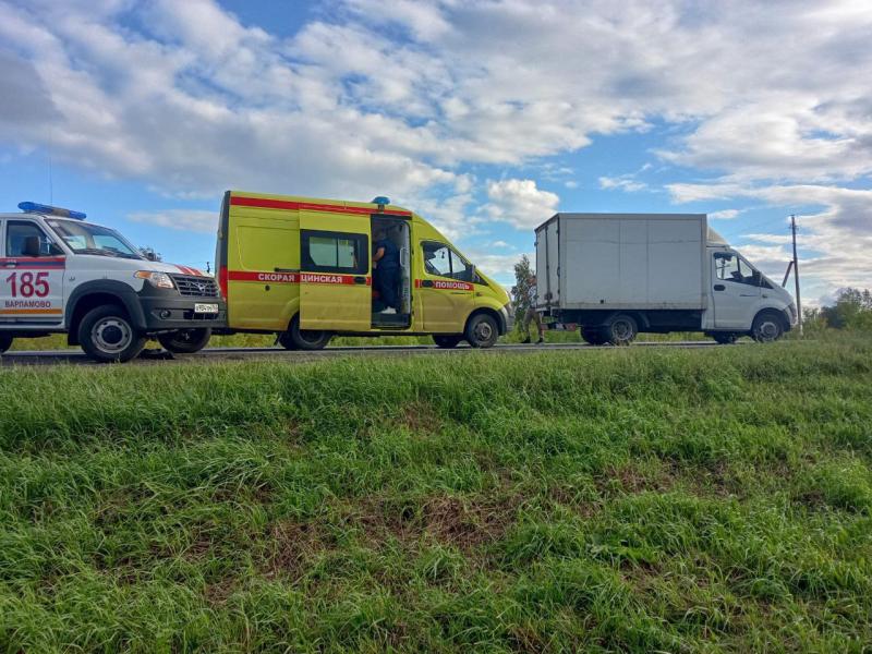 В Самарской области 19 августа после столкновения на трассе с грузовиком в больницу попал водитель "Газели"