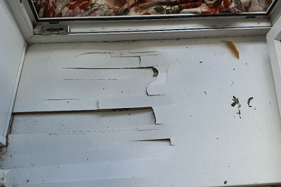 Жительница Сызрани сдала квартиру знакомой и получила от неё ужасный "сюрприз"