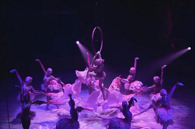 "От чистого сердца": в самарском цирке прошло благотворительное представление для медиков