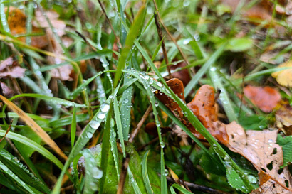Название статьи