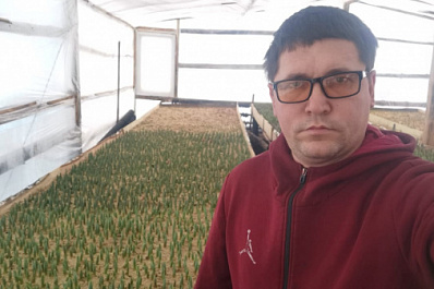 Благодаря соцконтракту житель Челно-Вершинского района начал выращивать тюльпаны 