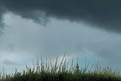 На улицах Самары продолжается покос травы