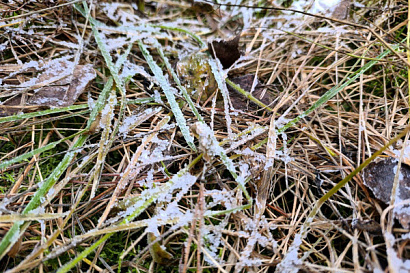 Название статьи