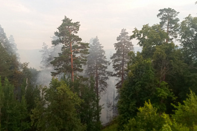 Деревья в дыму: около Грушинского фестиваля горит валежник