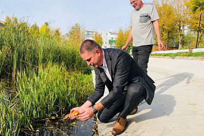 В жигулевский пруд выпустили декоративных карпов