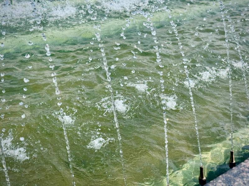 В самарском парке Победы стартовали технические пуски фонтана на водоеме