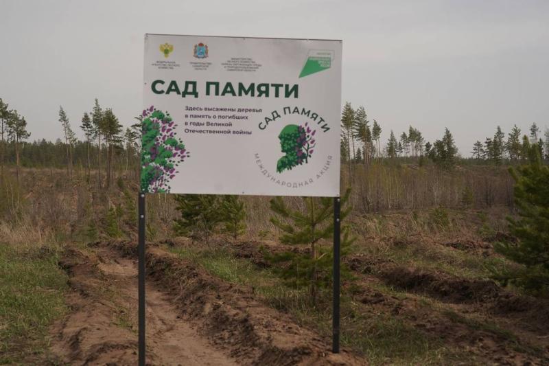 В Самарской области проходит всероссийская акция "Сад Памяти"