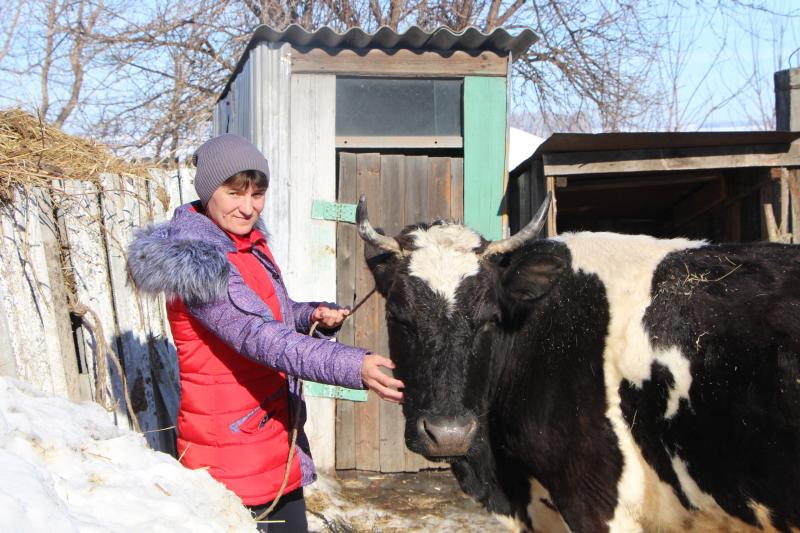 Социальный контракт оказал реальную помощь жителям Кошкинского района 