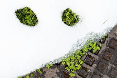 Крещенские морозы обойдут стороной Самарскую область