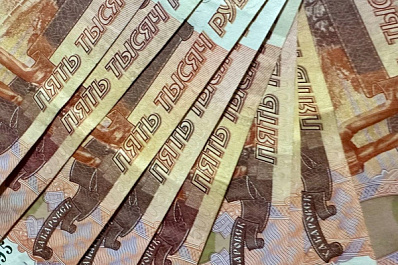 В Тольятти девушка в декрете хотела открыть бизнес, но потеряла полмиллиона