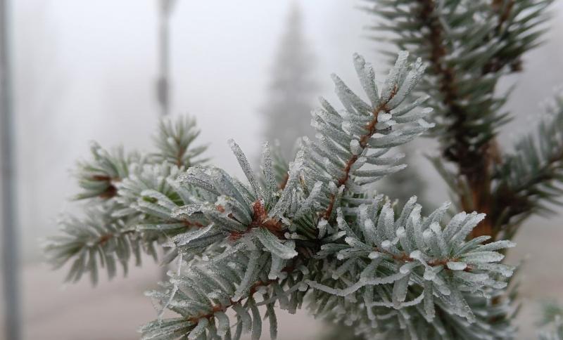 Туман и изморозь: в Самарской области продлили желтый уровень опасности