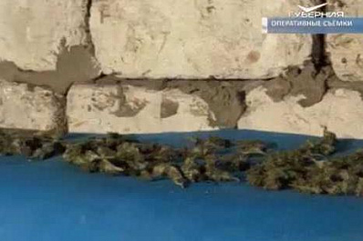 В Самарской области задержали мужчину за хранение 5 кг наркотиков