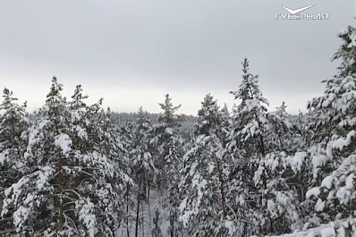 За полвека в регионе увеличилось количество памятников природы
