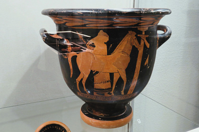 Античность на Волге: в Самаре проходит выставка, посвященная древней Фанагории