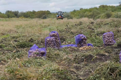 Название статьи