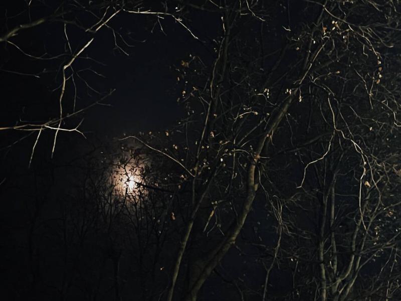 На Солнце произошла новая вспышка