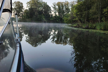 Название статьи