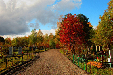 В Самаре будет построено новое кладбище