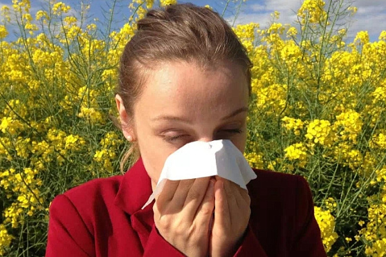 Как бороться с аллергией. Утро Губернии