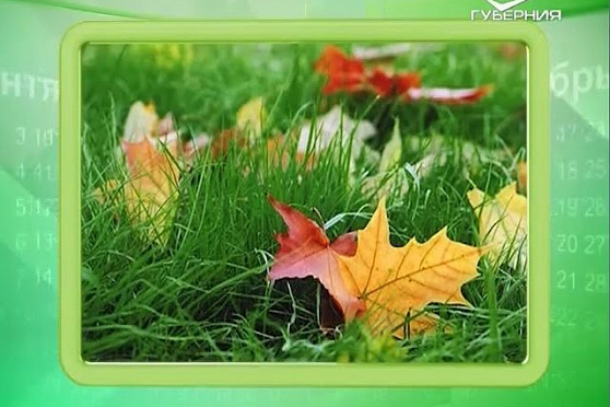 Календарь губернии 14.09.2016