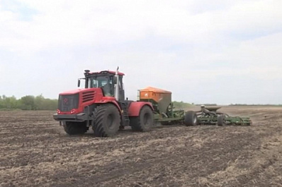В Самарской области стартовал сев подсолнечника