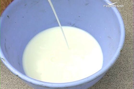 Готовим питательные коктейли для томатов. Удачные заметки от 26.06.2018