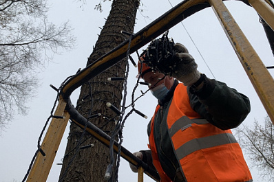 Новогодней иллюминацией начали украшать деревья в Самаре