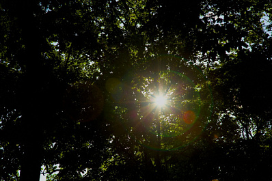 В Самарской области до 15 июля сохранится пекло