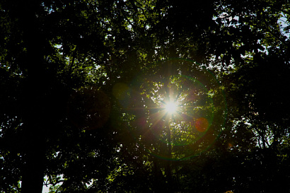 Название статьи